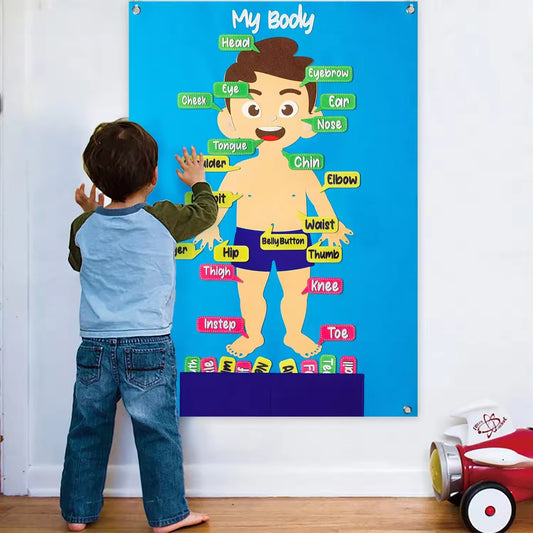 Education Montessori Felt Story Board Body Parts Preschool Educational Learning Toys Kids Busy Human Body Structure Felt Board